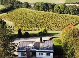 Gîte Les Hauts de Vigne - 7 Guest Home with private Park