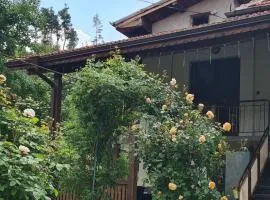 Nayri HOUSE