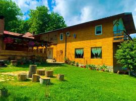 Cabana de sub deal Valea Doftanei, готель у місті Trăisteni