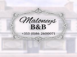 Maloney's The Square Bed & Breakfast, hotel din Charlestown