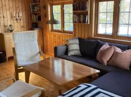 Cabin in Tydal, enjoy!