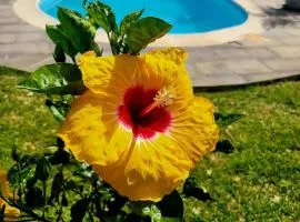 Luxury Secure Gated Villa Surrounded by Nature