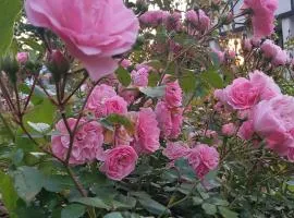 Gandelinka Park Kędrzyno