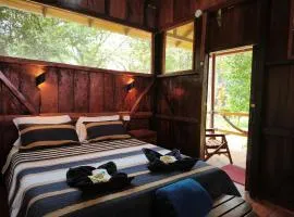 Mariana Miller Lodge