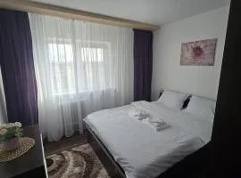 DelyMary Parc 1 Mai Apartament