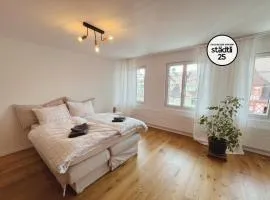 Central boutique apartment in Sempach's old town