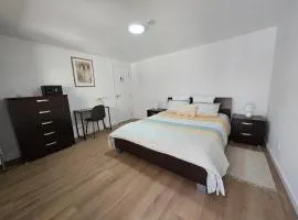 Suzi's Garden Aveiro