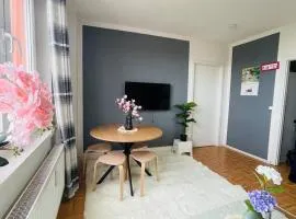 Dresden City Center 2 Room Design Appartement