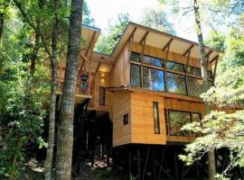 Casa inmersa en bosque de la Reserva Huilo Huilo, Hotel in Huilo-Huilo