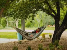 The Blue Jay at Zen Zion
