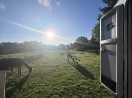 Sleep with Alpacas I Glamping Retreat in National Park Thy