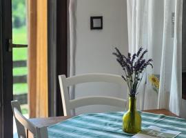 Apartments Mali Raj, готель у місті Dolenci