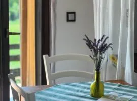 Apartments Mali Raj