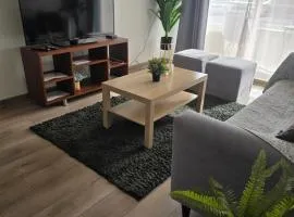 Rancagua lindo Departamento Familiar y Empresas con Parking y Wifi