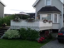 Koselig hus ved Elveparken, Drammen plus egen campingvogn på Homannsberget, hotell i Drammen