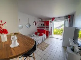 Beau studio au coeur du Gosier