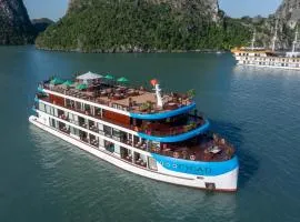 Cycad Grand Cruise