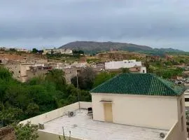 Dar Zawya
