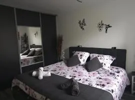 Superbe appartement F3 situé au centre ville