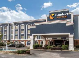 Comfort Suites Olive Branch - Memphis South