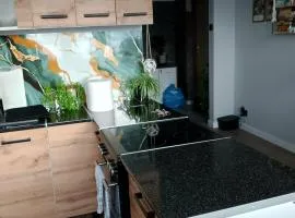 Mieszkanie u Jolanty