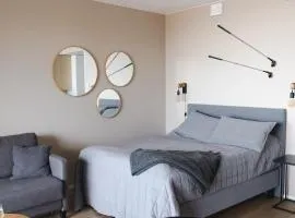 Marinan Portin Svingi A23 lemmikit sallittu