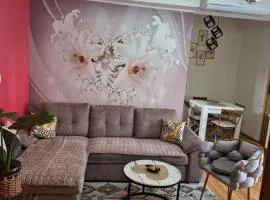 Fine Rest- Spacious & Cozy Apartment