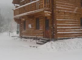 Valea Vistisoarei, hotel a Vistisoara