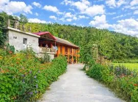 Hoa Ban Trắng Homestay