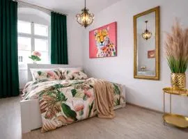 Stay Olomouc CZ - Old Town Studio