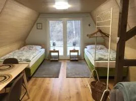 Ferienhaus Plöwen MV