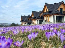 Domki Tomanova - Premium Chalets