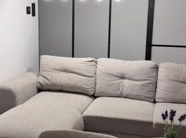 Modern Apartment in the Center of Żory