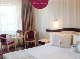 Caprioara Spa&Wellness Resort