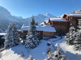 Duplex Méribel Mottaret 8 personnes โรงแรมในLes Allues