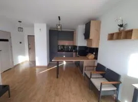 Nowoczesny Apartament 400 M Od Plaży Prywatny Ogródek Ełk