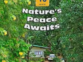 Modern Nature Lodge - Private Holiday Home