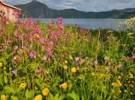 Senja Sjøtun House