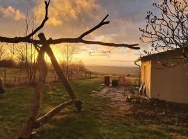 Goldener Blick