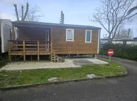 Camping Arenas