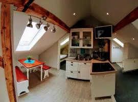 Dachwohnung Vollumen mit Weitblick