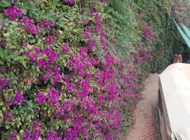 Bouganvillea, hotel v destinaci Senigallia