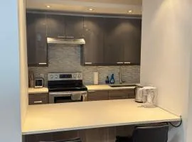 Modern Comfort in DT Montreal