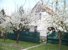 Nefelejcs Apartman, Hotel in Fertőhomok