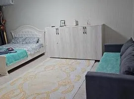1комнатная Сейфуллина 22 Центр