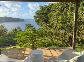 Blue Bay Coffee Farm Stay