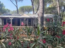 Chez Wywy et Renow
