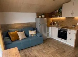 Apartamenty W Domu DeLux