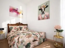 Stay Olomouc CZ - Apartmán u Divadla na Náměstí