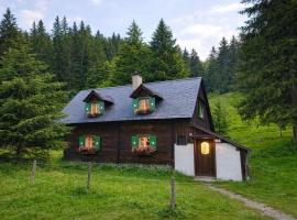 Almhütte am Steirischen Seeberg, hotell sihtkohas Turnau